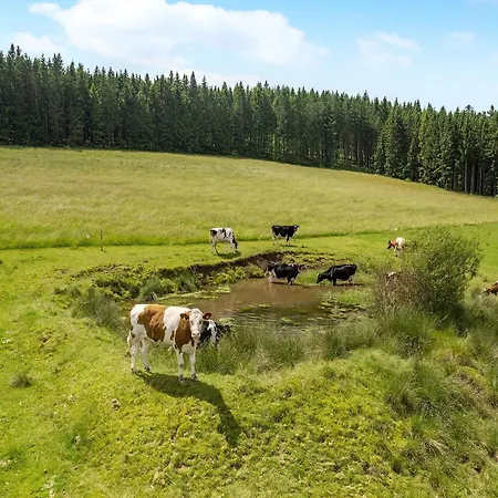Duffner * Schonach im Schwarzwald