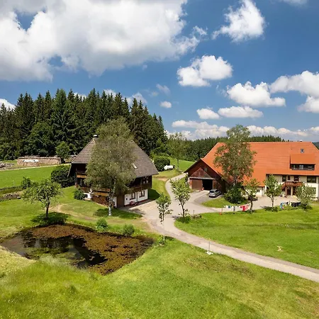 Duffner Apartamento Schonach im Schwarzwald
