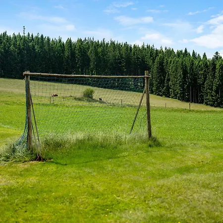 Apartamento Duffner Schonach im Schwarzwald