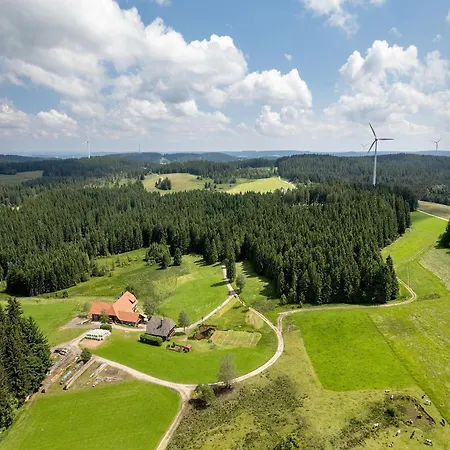 Duffner Schonach im Schwarzwald