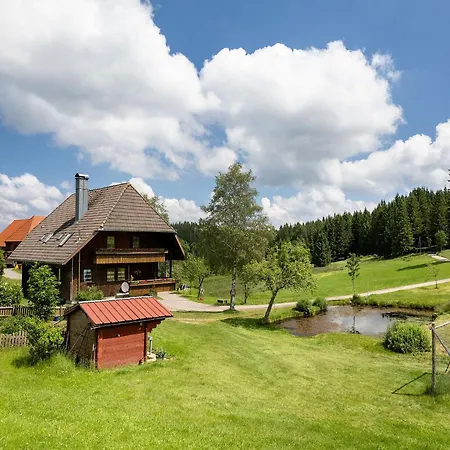 Duffner Apartment Schonach im Schwarzwald