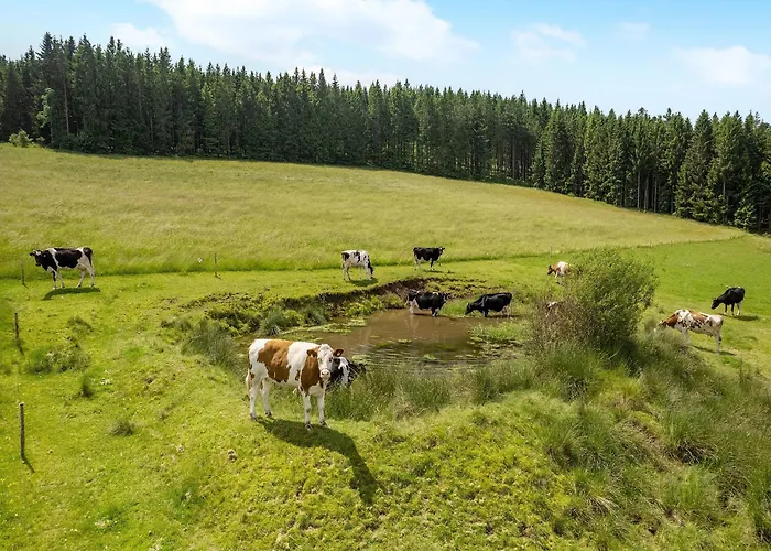 Duffner * Schonach im Schwarzwald
