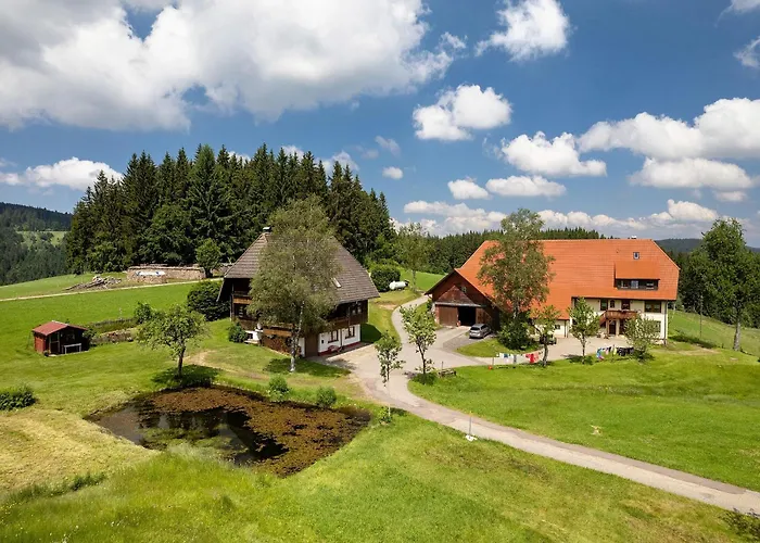 Duffner Apartament Schonach im Schwarzwald