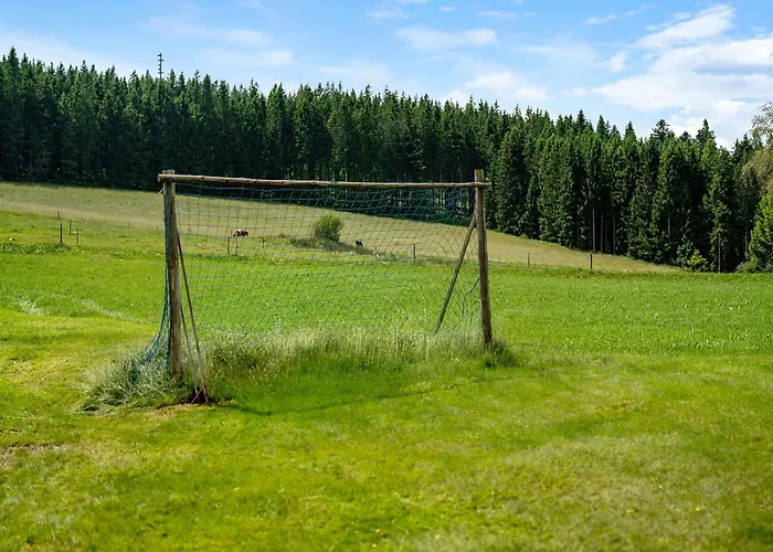 Apartament Duffner Schonach im Schwarzwald